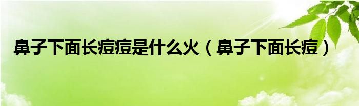 鼻子下面長痘痘是什么火（鼻子下面長痘）