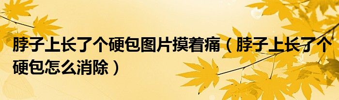 脖子上長(zhǎng)了個(gè)硬包圖片摸著痛（脖子上長(zhǎng)了個(gè)硬包怎么消除）