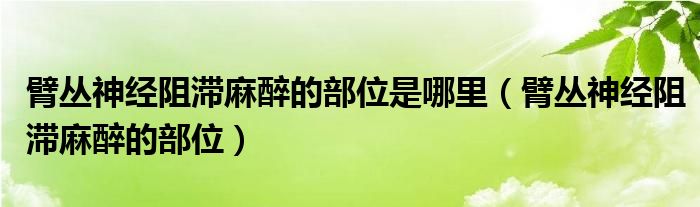 臂叢神經(jīng)阻滯麻醉的部位是哪里（臂叢神經(jīng)阻滯麻醉的部位）