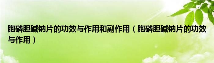 胞磷膽堿鈉片的功效與作用和副作用（胞磷膽堿鈉片的功效與作用）