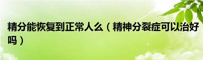 精分能恢復到正常人么（精神分裂癥可以治好嗎）