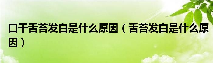 口干舌苔發(fā)白是什么原因（舌苔發(fā)白是什么原因）