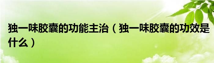 獨(dú)一味膠囊的功能主治（獨(dú)一味膠囊的功效是什么）