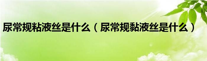 尿常規(guī)粘液絲是什么（尿常規(guī)黏液絲是什么）