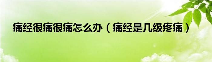 痛經(jīng)很痛很痛怎么辦（痛經(jīng)是幾級(jí)疼痛）