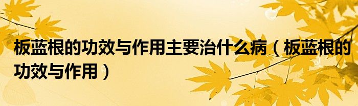 板藍(lán)根的功效與作用主要治什么?。ò逅{(lán)根的功效與作用）