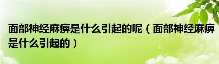 面部神經(jīng)麻痹是什么引起的呢（面部神經(jīng)麻痹是什么引起的）