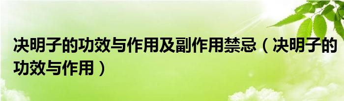 決明子的功效與作用及副作用禁忌（決明子的功效與作用）