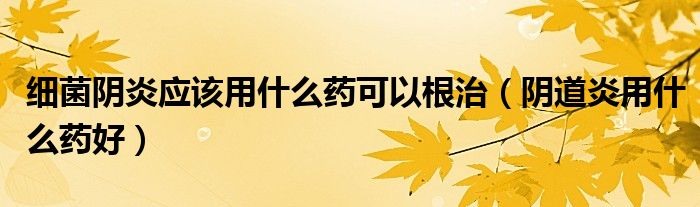 細(xì)菌陰炎應(yīng)該用什么藥可以根治（陰道炎用什么藥好）