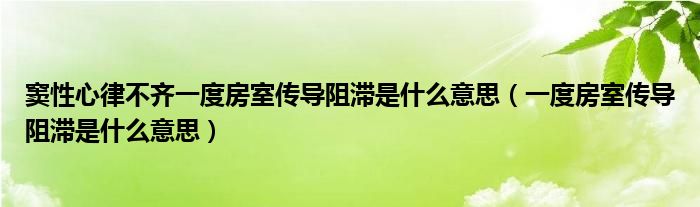 竇性心律不齊一度房室傳導阻滯是什么意思（一度房室傳導阻滯是什么意思）