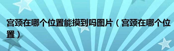 宮頸在哪個(gè)位置能摸到嗎圖片（宮頸在哪個(gè)位置）