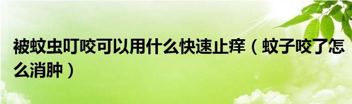 被蚊蟲叮咬可以用什么快速止癢（蚊子咬了怎么消腫）