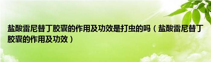 鹽酸雷尼替丁膠囊的作用及功效是打蟲(chóng)的嗎（鹽酸雷尼替丁膠囊的作用及功效）