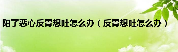 陽了惡心反胃想吐怎么辦（反胃想吐怎么辦）