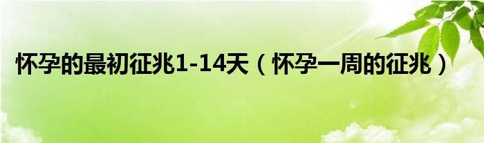 懷孕的最初征兆1-14天（懷孕一周的征兆）