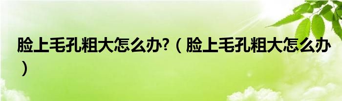 臉上毛孔粗大怎么辦?（臉上毛孔粗大怎么辦）