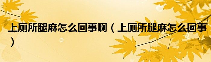 上廁所腿麻怎么回事?。ㄉ蠋嚷樵趺椿厥拢? /></span>
		<span id=