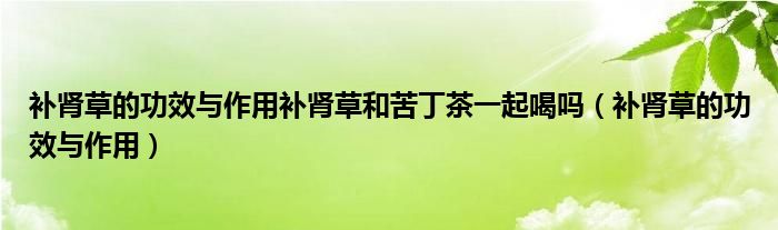 補腎草的功效與作用補腎草和苦丁茶一起喝嗎（補腎草的功效與作用）