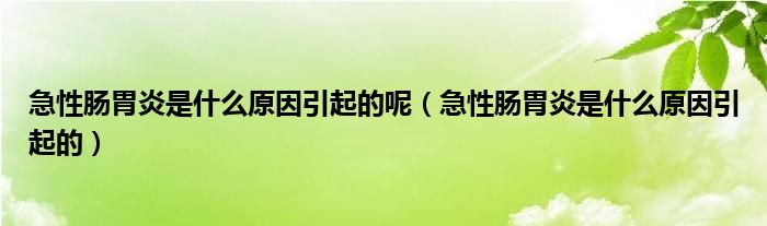 急性腸胃炎是什么原因引起的呢（急性腸胃炎是什么原因引起的）