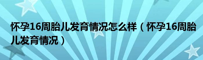 懷孕16周胎兒發(fā)育情況怎么樣（懷孕16周胎兒發(fā)育情況）