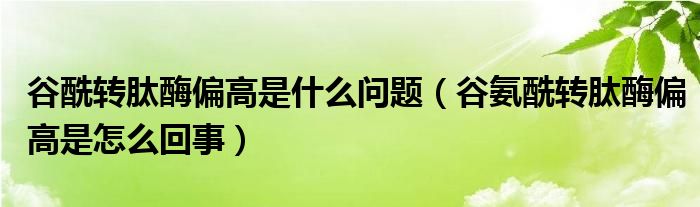 谷酰轉(zhuǎn)肽酶偏高是什么問(wèn)題（谷氨酰轉(zhuǎn)肽酶偏高是怎么回事）