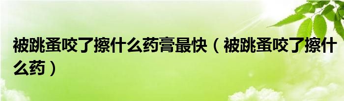 被跳蚤咬了擦什么藥膏最快（被跳蚤咬了擦什么藥）