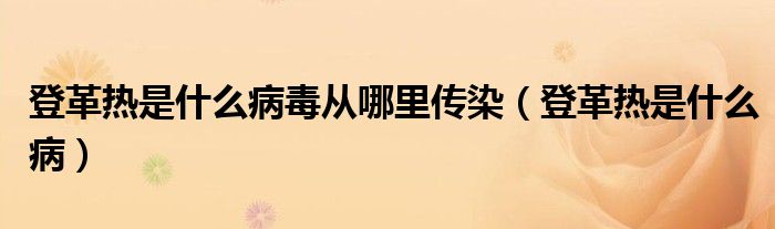 登革熱是什么病毒從哪里傳染（登革熱是什么?。? /></span>
		<span id=