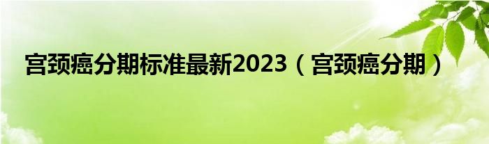 宮頸癌分期標(biāo)準(zhǔn)最新2023（宮頸癌分期）