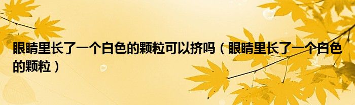 眼睛里長了一個白色的顆?？梢詳D嗎（眼睛里長了一個白色的顆粒）