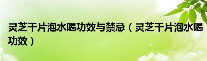 靈芝干片泡水喝功效與禁忌（靈芝干片泡水喝功效）