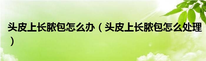 頭皮上長膿包怎么辦（頭皮上長膿包怎么處理）