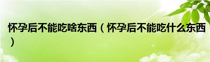 懷孕后不能吃啥東西（懷孕后不能吃什么東西）