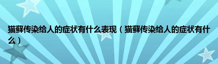 貓?zhí)\傳染給人的癥狀有什么表現(xiàn)（貓?zhí)\傳染給人的癥狀有什么）