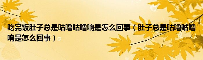 吃完飯肚子總是咕嚕咕嚕響是怎么回事（肚子總是咕嚕咕嚕響是怎么回事）