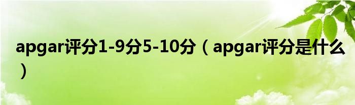 apgar評(píng)分1-9分5-10分（apgar評(píng)分是什么）