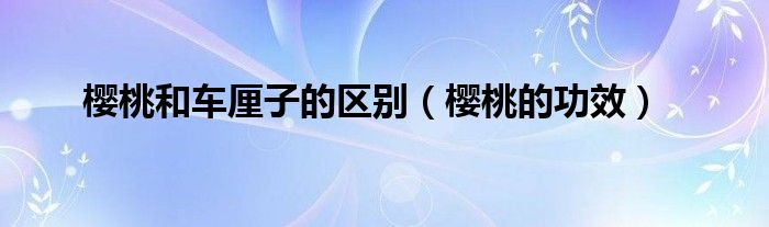 櫻桃和車厘子的區(qū)別（櫻桃的功效）