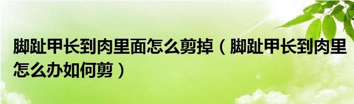 腳趾甲長到肉里面怎么剪掉（腳趾甲長到肉里怎么辦如何剪）