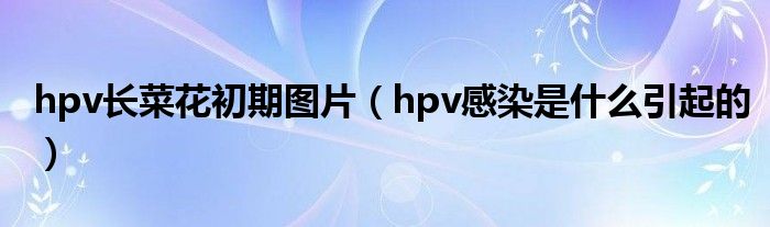 hpv長菜花初期圖片（hpv感染是什么引起的）