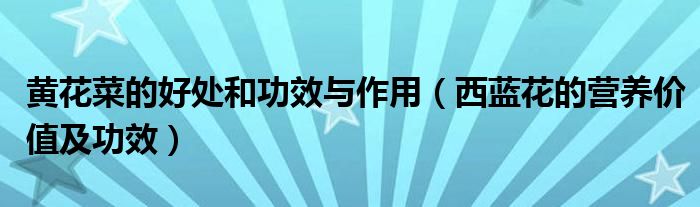 黃花菜的好處和功效與作用（西藍(lán)花的營(yíng)養(yǎng)價(jià)值及功效）