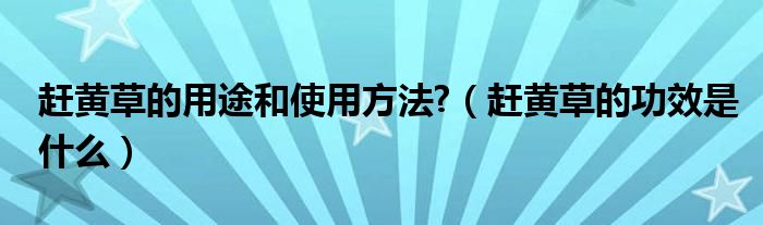 趕黃草的用途和使用方法?（趕黃草的功效是什么）