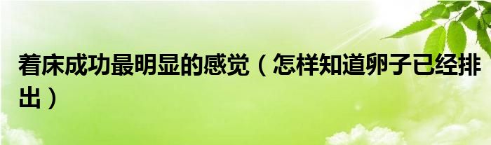 著床成功最明顯的感覺（怎樣知道卵子已經(jīng)排出）