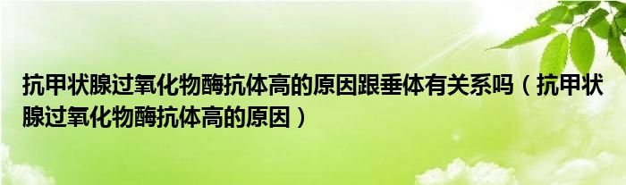 抗甲狀腺過氧化物酶抗體高的原因跟垂體有關(guān)系嗎（抗甲狀腺過氧化物酶抗體高的原因）