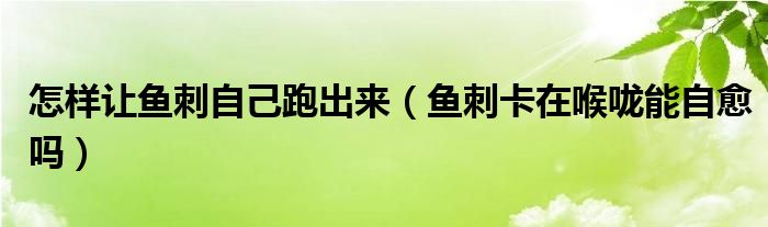 怎樣讓魚刺自己跑出來（魚刺卡在喉嚨能自愈嗎）