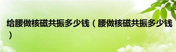 給腰做核磁共振多少錢（腰做核磁共振多少錢）