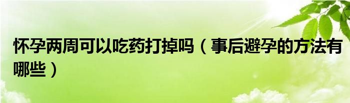 懷孕兩周可以吃藥打掉嗎（事后避孕的方法有哪些）