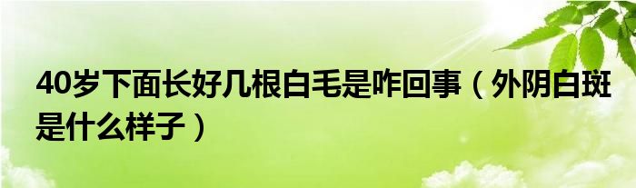 40歲下面長(zhǎng)好幾根白毛是咋回事（外陰白斑是什么樣子）