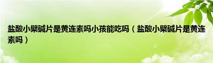 鹽酸小檗堿片是黃連素嗎小孩能吃嗎（鹽酸小檗堿片是黃連素嗎）