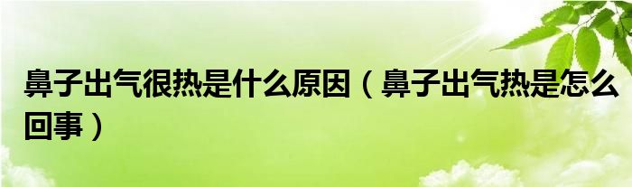 鼻子出氣很熱是什么原因（鼻子出氣熱是怎么回事）