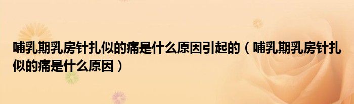 哺乳期乳房針扎似的痛是什么原因引起的（哺乳期乳房針扎似的痛是什么原因）