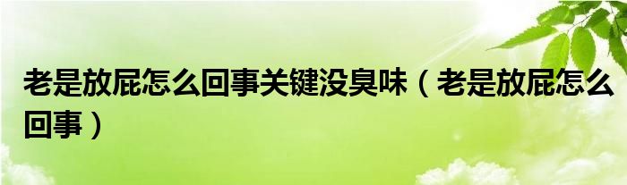 老是放屁怎么回事關鍵沒臭味（老是放屁怎么回事）